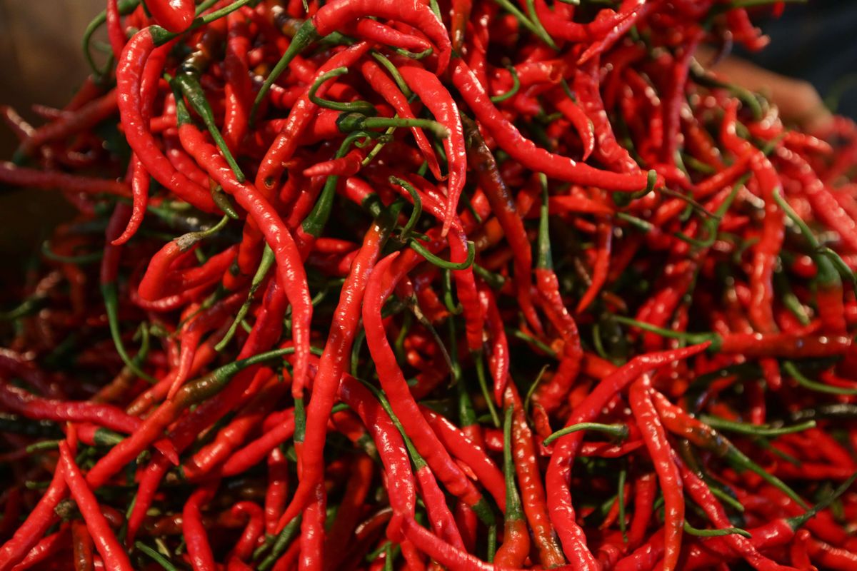 cabai merah